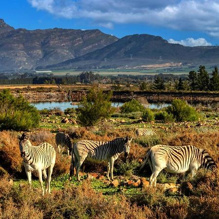 Welbedacht Game & Nature Reserve Tulbagh Buitenkant foto