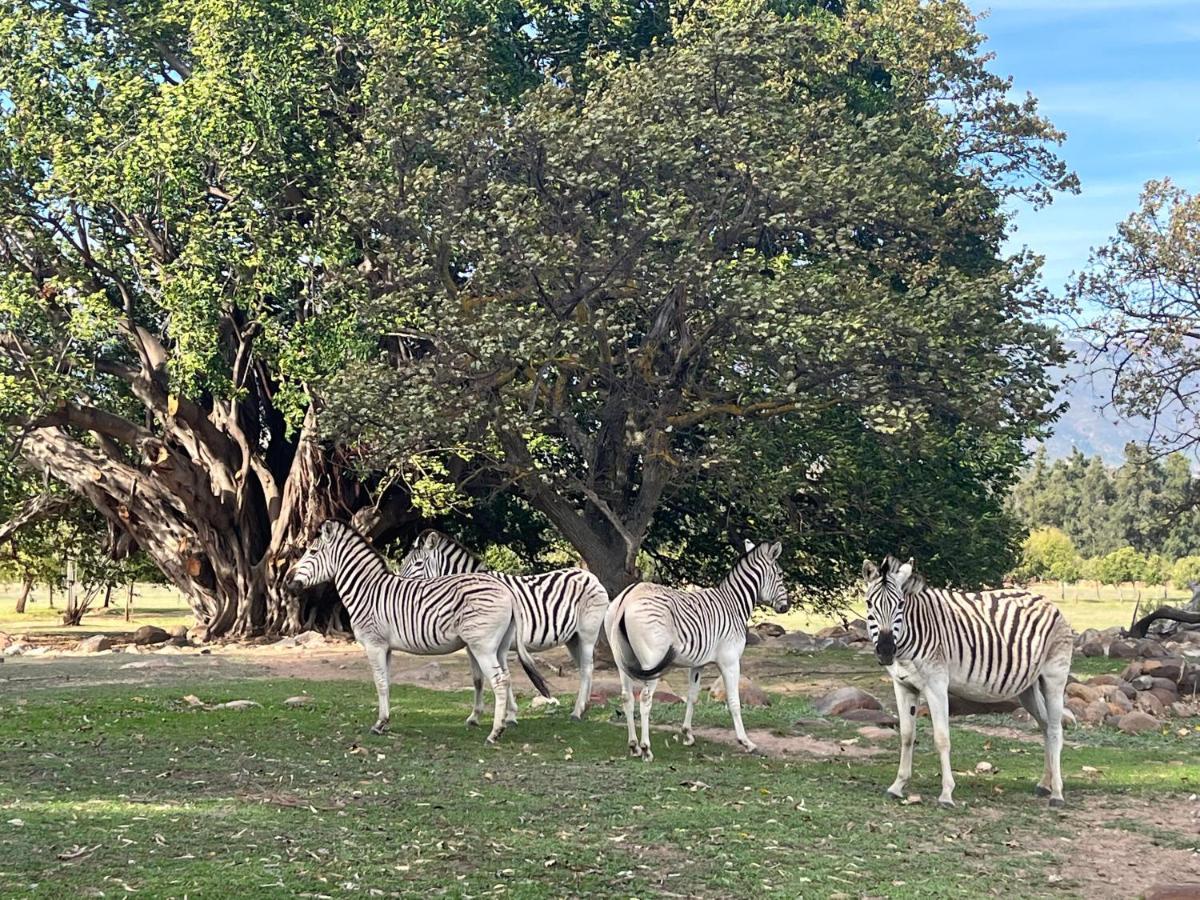 Welbedacht Game & Nature Reserve Tulbagh Buitenkant foto