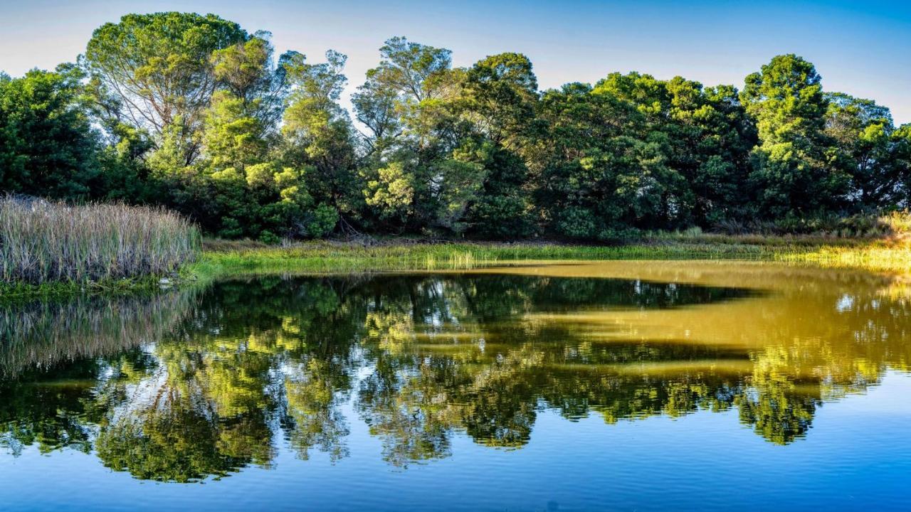 Welbedacht Game & Nature Reserve Tulbagh Buitenkant foto