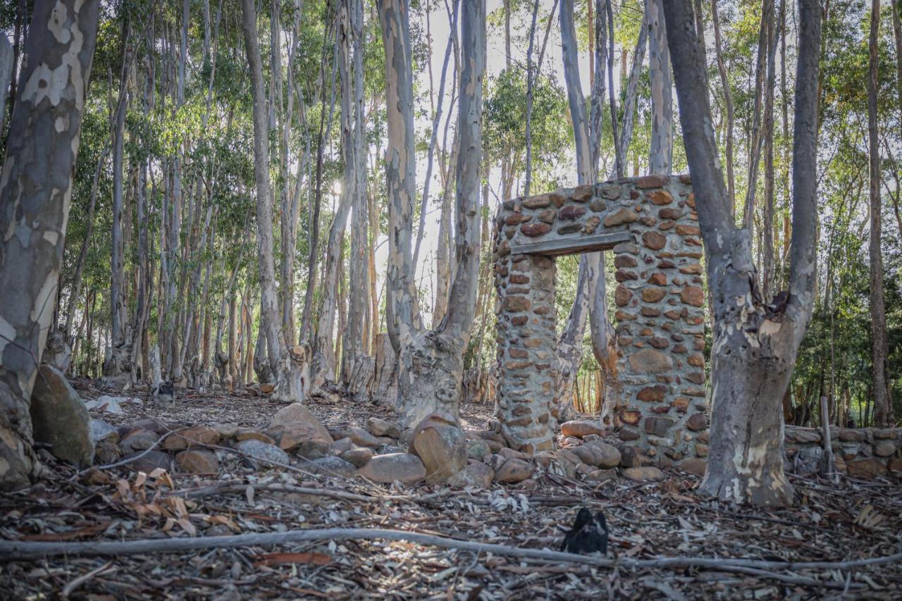 Welbedacht Game & Nature Reserve Tulbagh Buitenkant foto