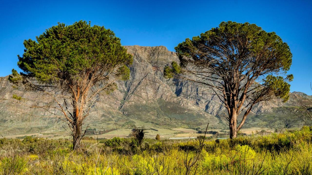 Welbedacht Game & Nature Reserve Tulbagh Buitenkant foto