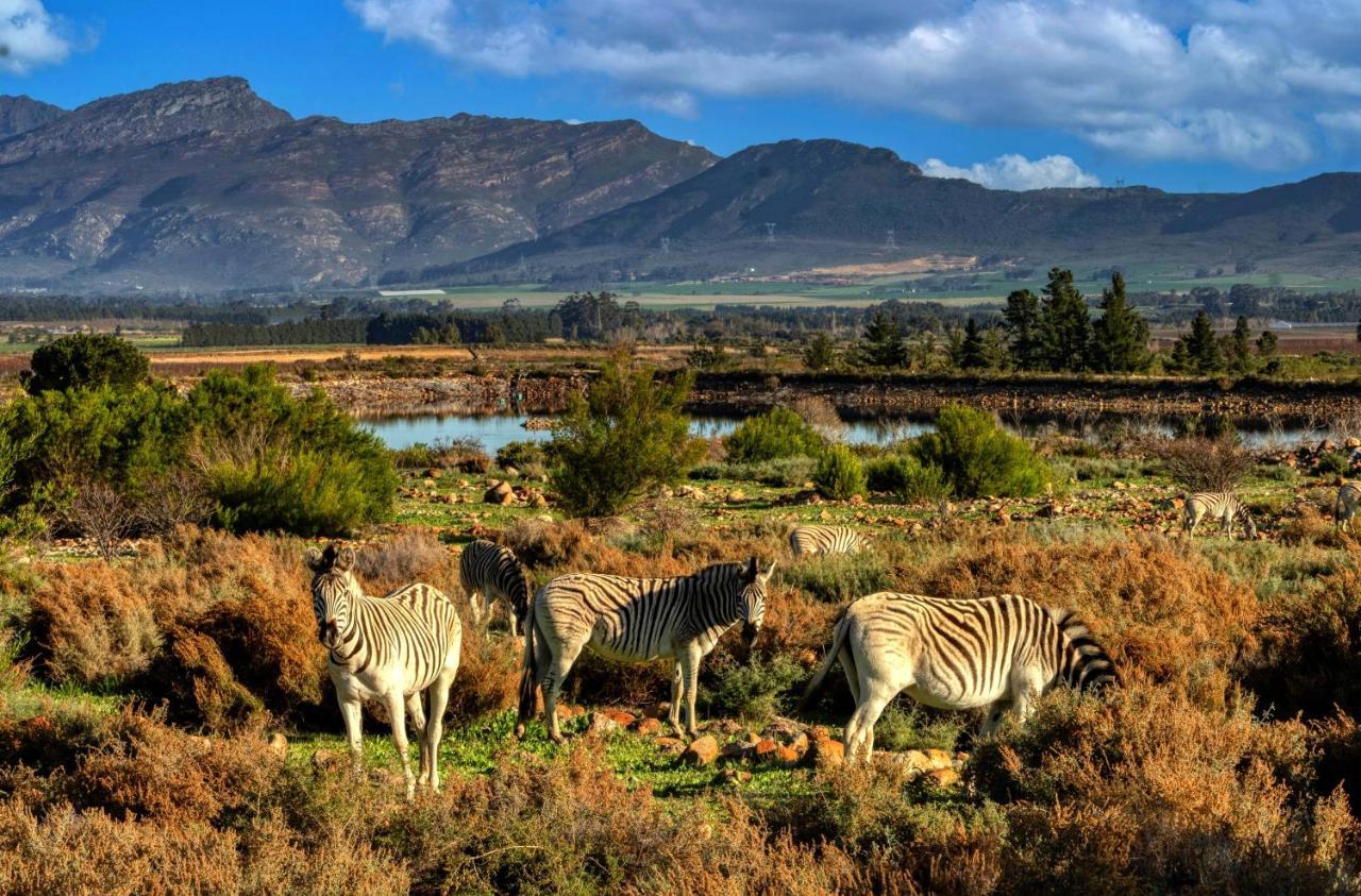 Welbedacht Game & Nature Reserve Tulbagh Buitenkant foto