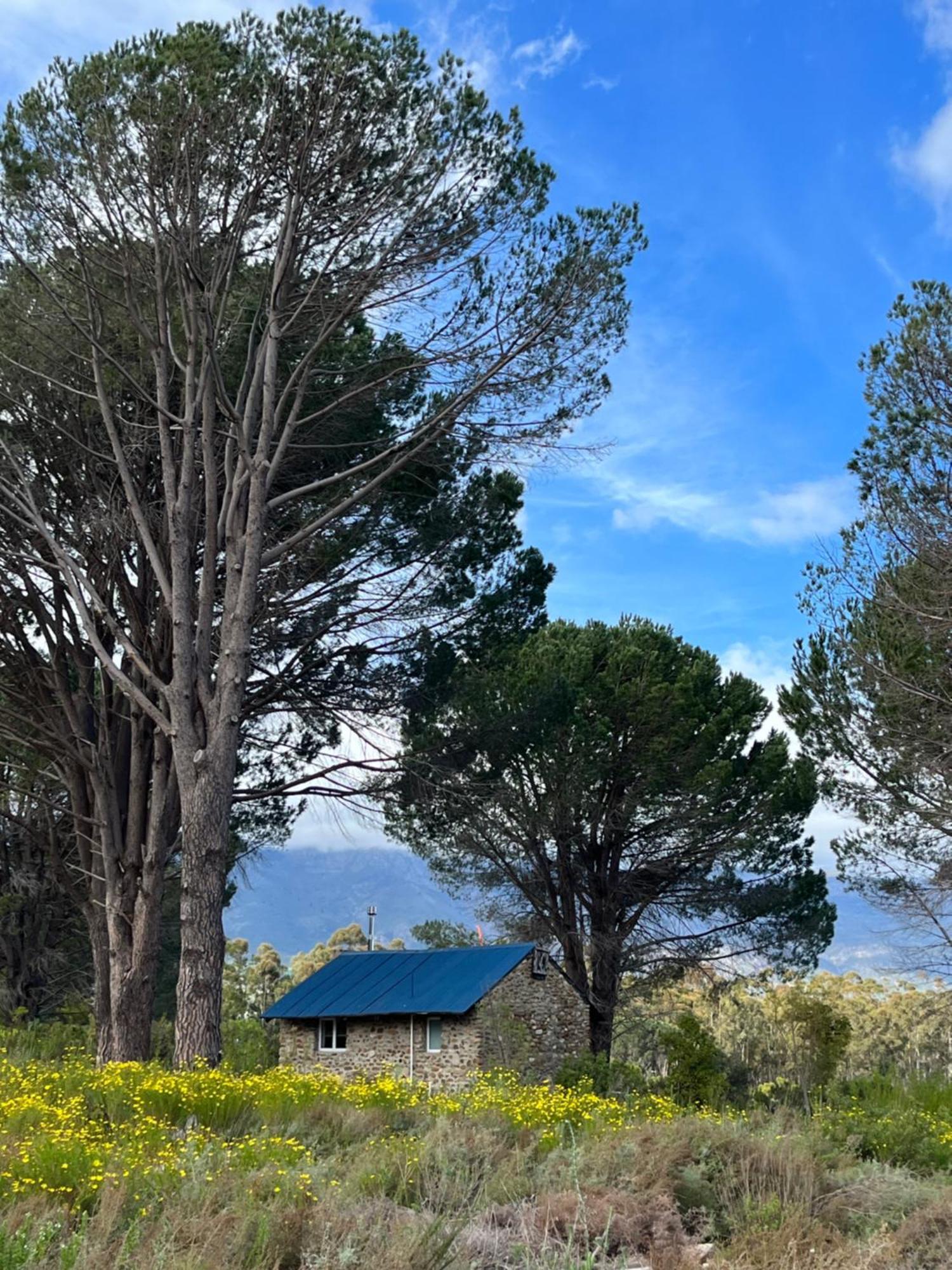 Welbedacht Game & Nature Reserve Tulbagh Buitenkant foto
